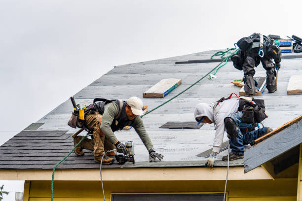 Professional Gutter Installation technician working in Canton, MS